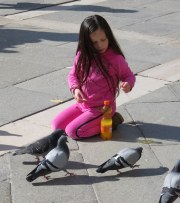 The pigeons were keeping this little girl occupied.