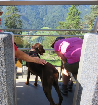 We see many dogs on trails and in lifts. This one is riding a funicular.