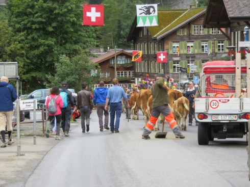 End of cow parade